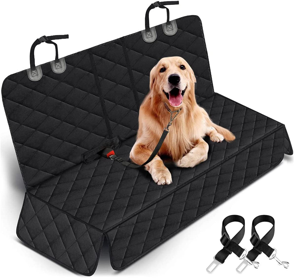 DogRidePro
